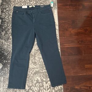 Elegant Straight Leg Women's Jeans in Teal